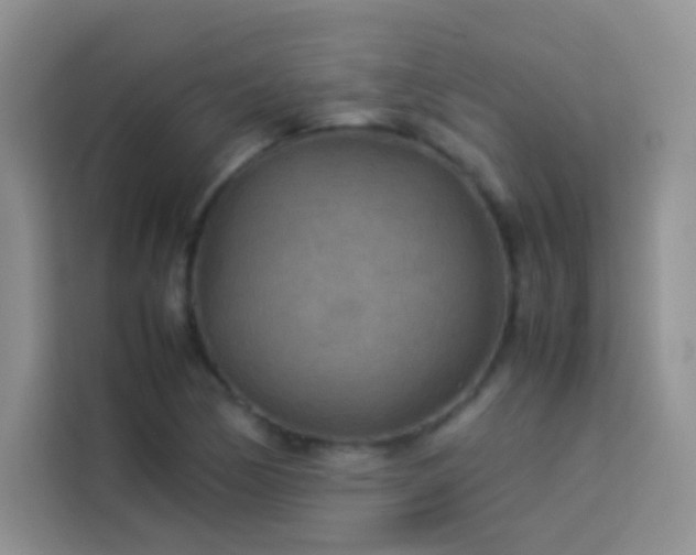 X0000114091170200910051419
