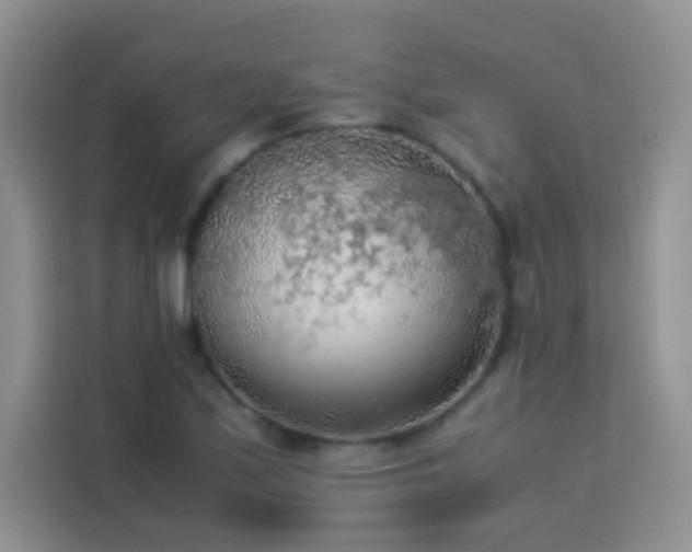 X0000114091171200910051419