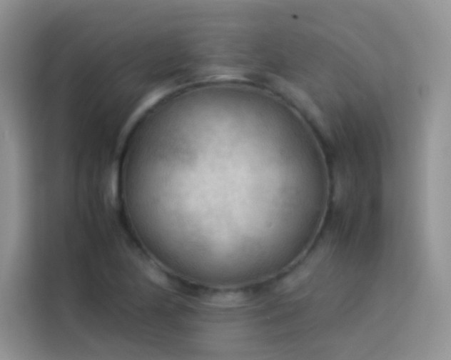 X0000114091174200910051419