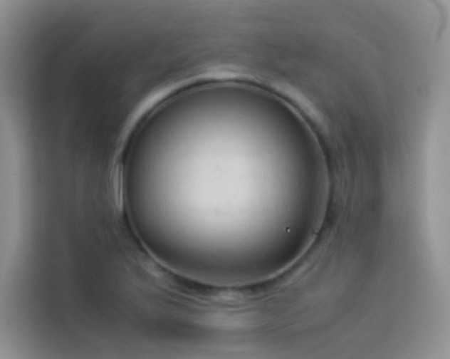 X0000114091175200910051419