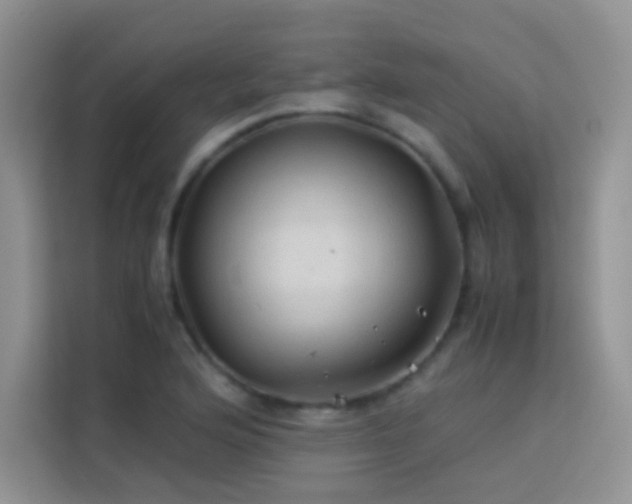 X0000114091176200910051419