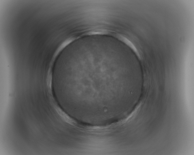 X0000114091179200910051419