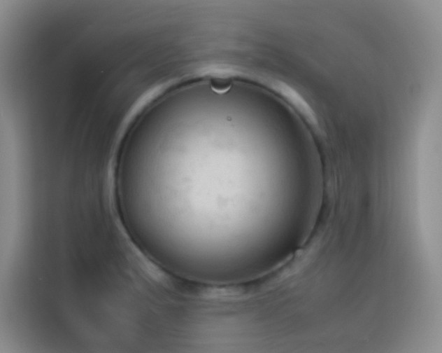 X0000114091183200910051419