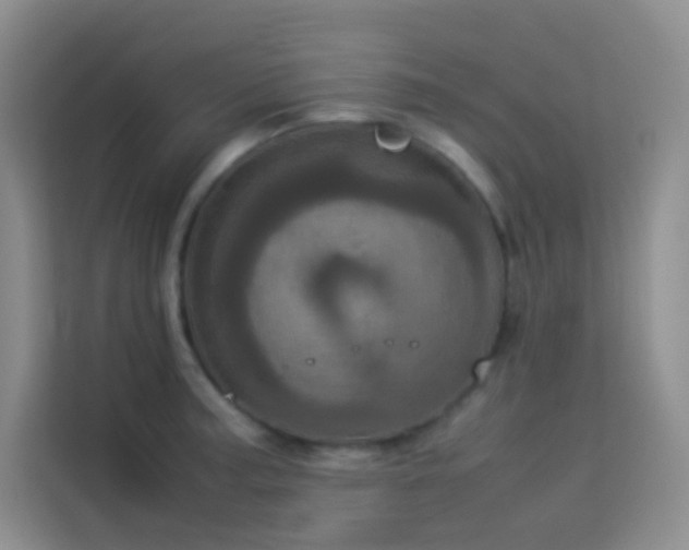 X0000114091187200910051419