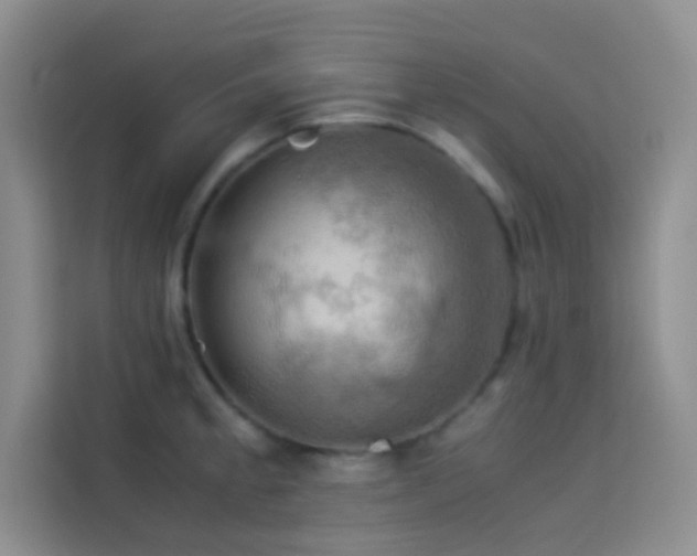X0000114091189200910051419