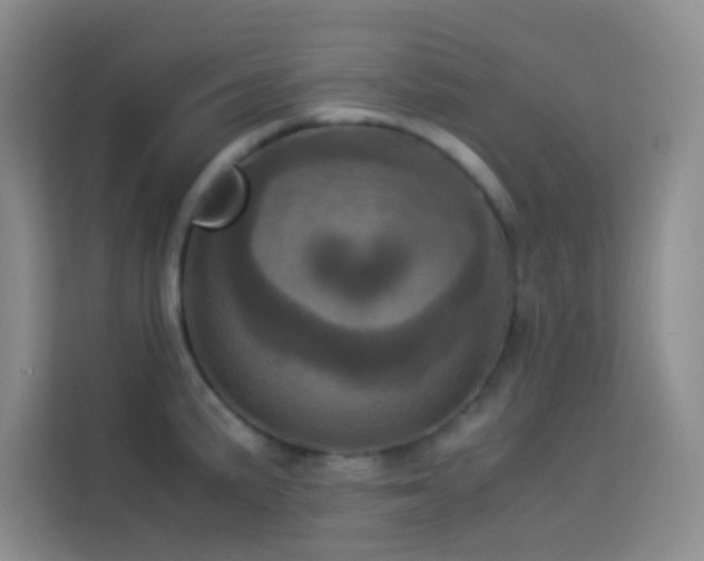 X0000114091191200910051419