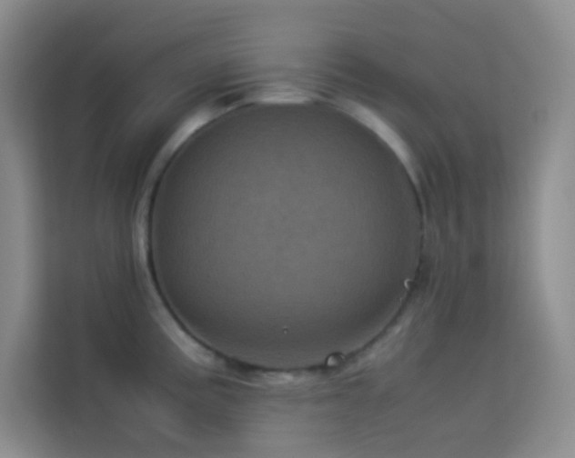 X0000114091195200910051419