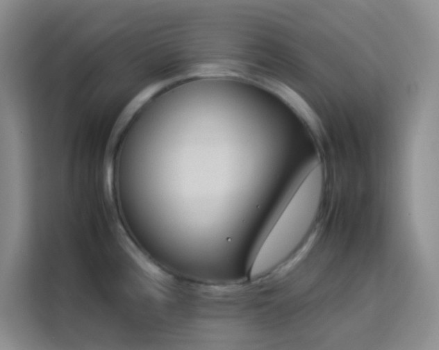 X0000114091196200910051419