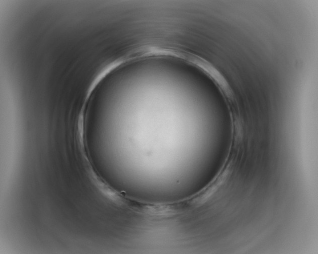 X0000114091198200910051419