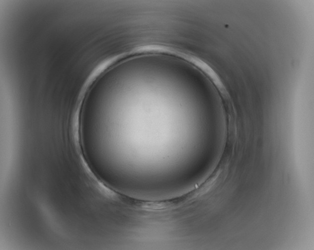 X0000114091199200910051419