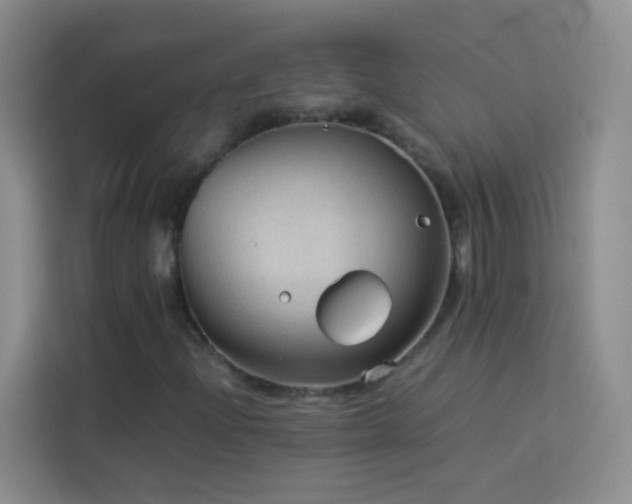 X0000114091204200910051418