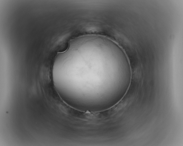 X0000114091205200910051418
