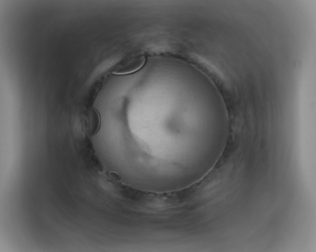 X0000114091207200910051418