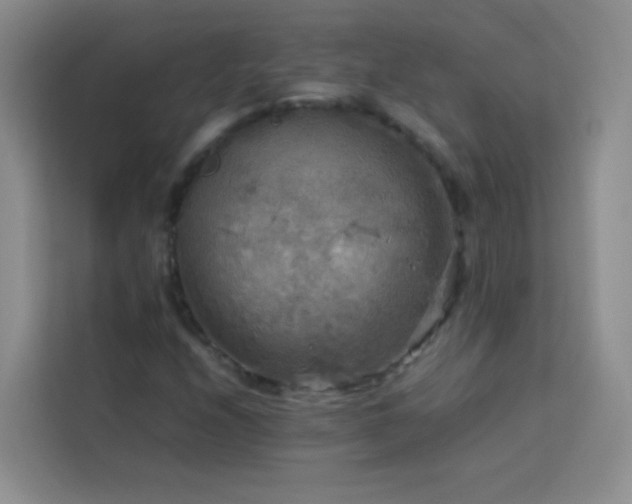 X0000114091208200910051418