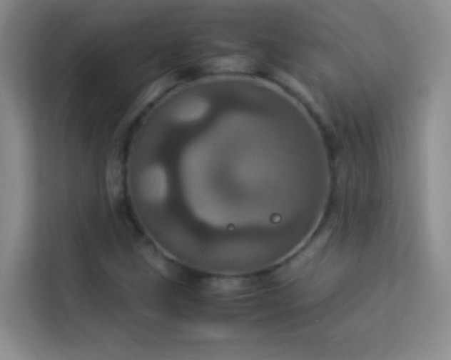 X0000114091211200910051418