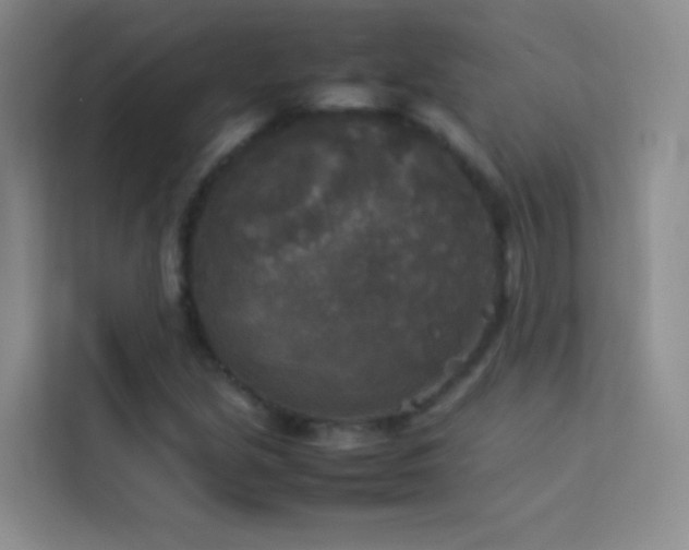 X0000114091213200910051418