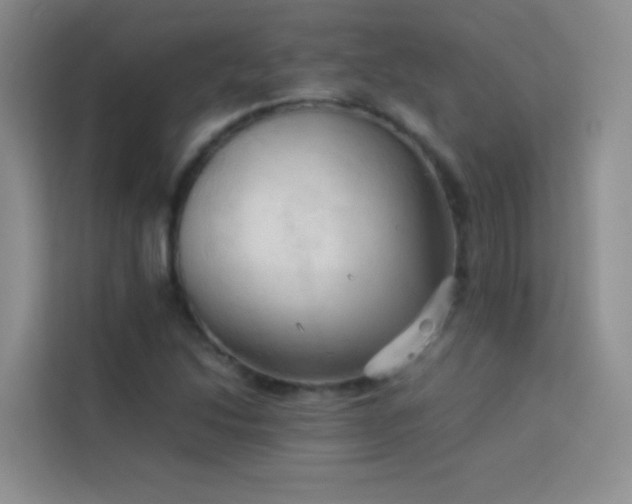X0000114091214200910051418