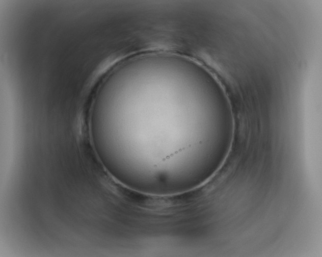 X0000114091215200910051418