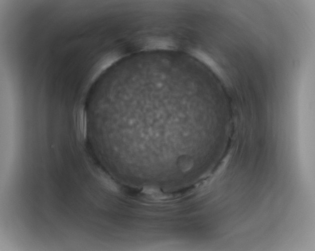 X0000114091219200910051418