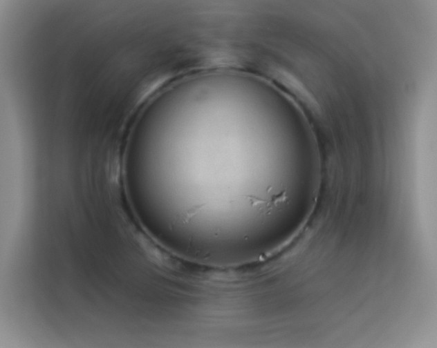 X0000114091220200910051418