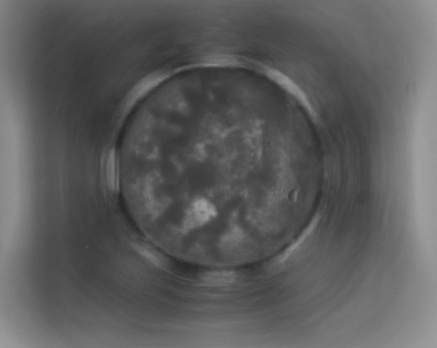 X0000114091223200910051418