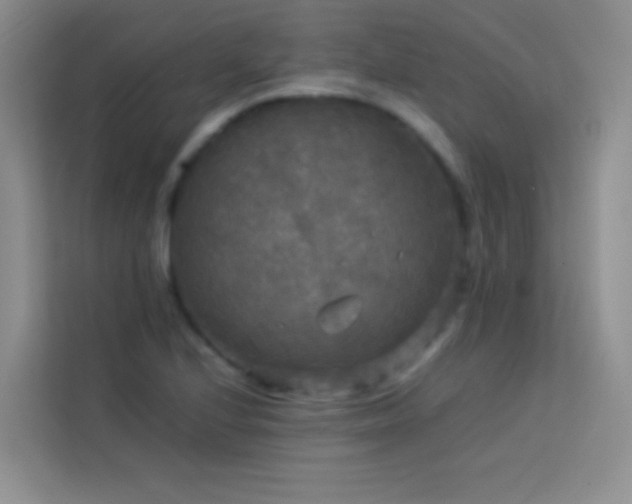 X0000114091224200910051418