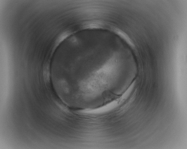 X0000114091226200910051418