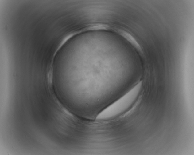 X0000114091228200910051418