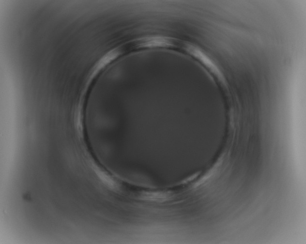 X0000114091229200910051418