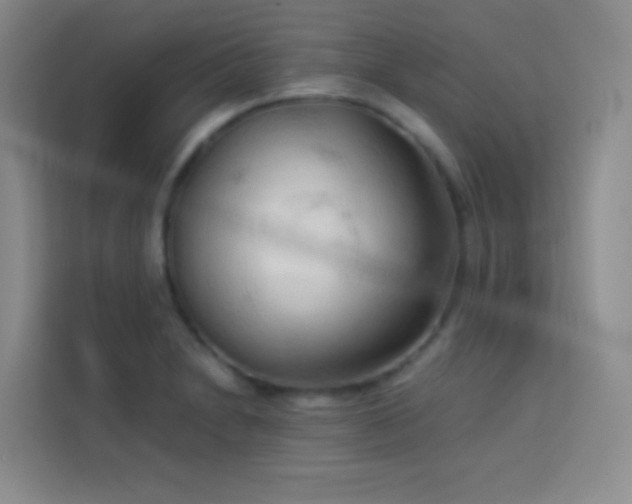 X0000114091230200910051418