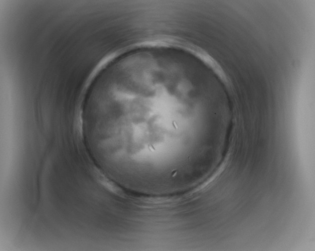 X0000114091232200910051418