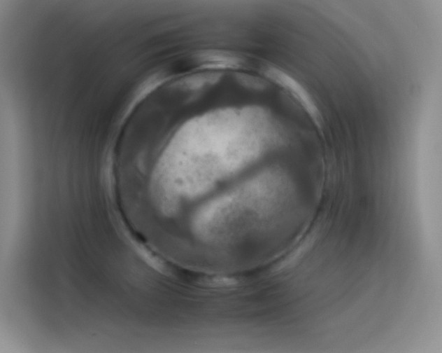 X0000114091235200910051419