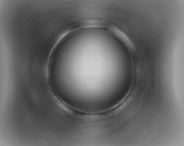 X0000114091236200910051419