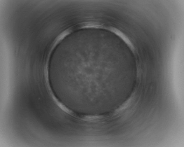X0000114091237200910051419