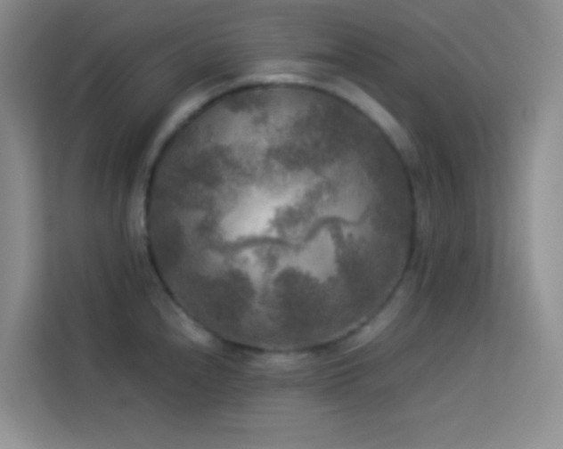 X0000114091240200910051419