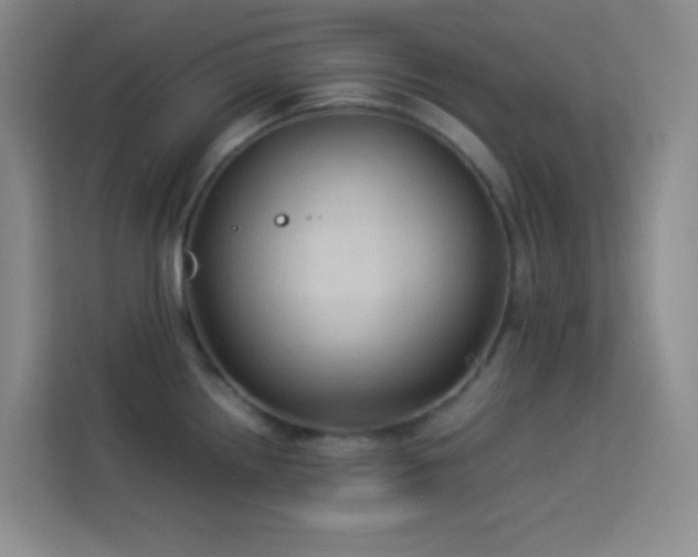 X0000114091242200910051419