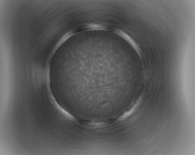 X0000114091243200910051419