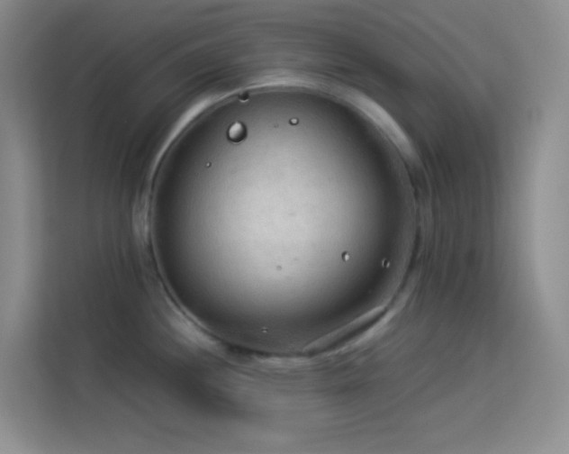 X0000114091244200910051419