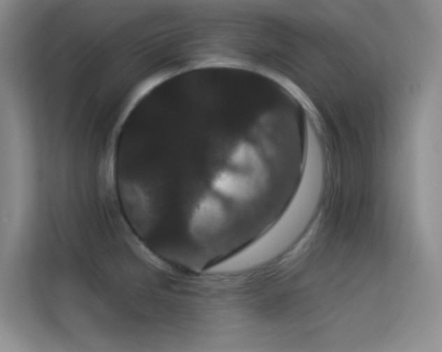 X0000114091246200910051419