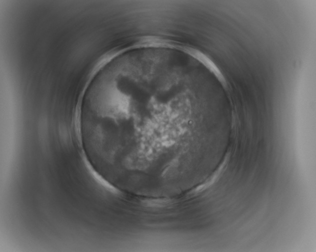X0000114091247200910051419