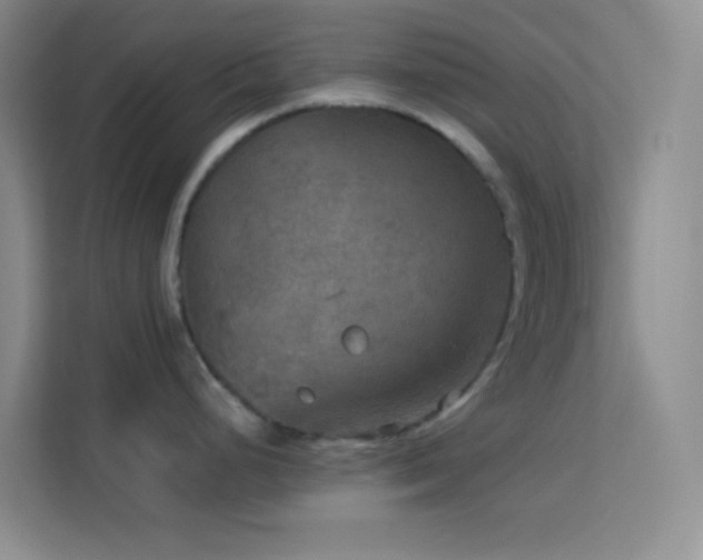 X0000114091248200910051419
