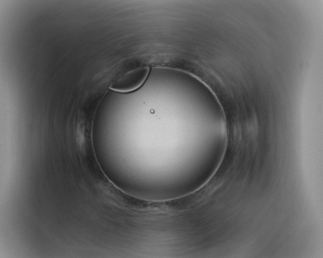 X0000114091250200910051418