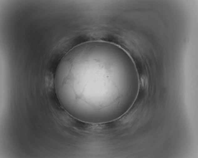 X0000114091251200910051418