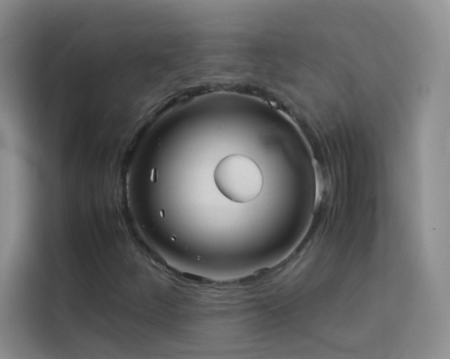 X0000114091252200910051418