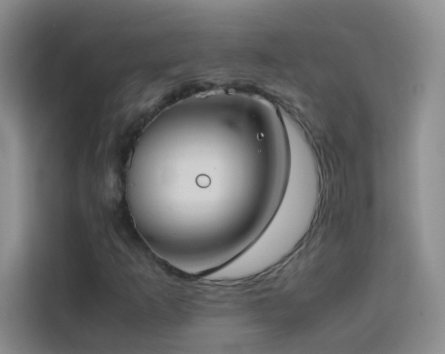 X0000114091253200910051418