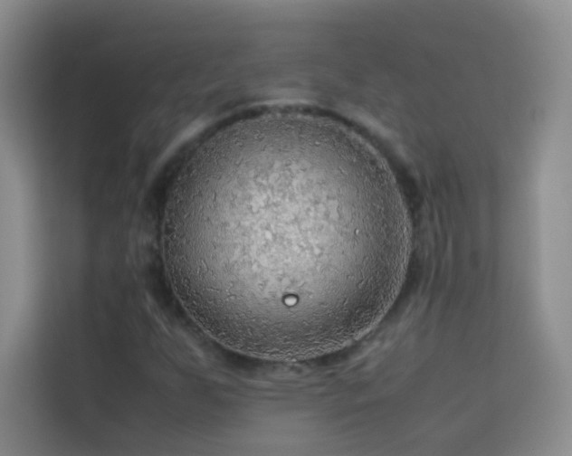 X0000114091255200910051418