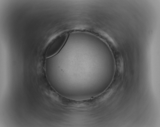 X0000114091256200910051418