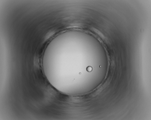 X0000114091258200910051418