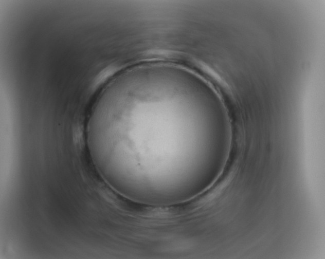 X0000114091259200910051418