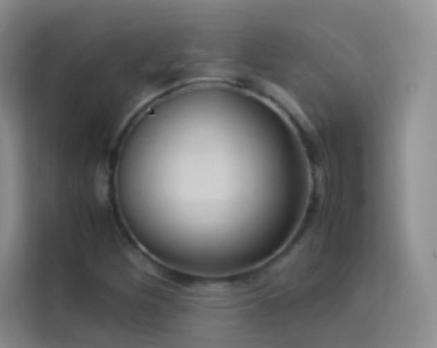 X0000114091260200910051418